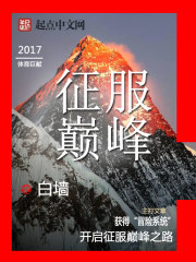征服巅峰