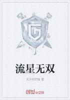 流星无双