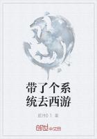 带了个系统去西游