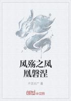 风殇之凤凰磐涅