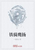 铁骑鹰扬