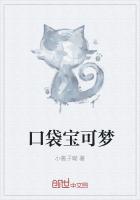 口袋宝可梦
