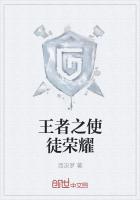 王者之使徒荣耀