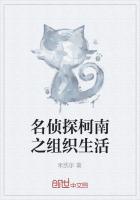 名侦探柯南之组织生活