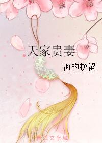 天家贵妻