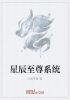 星辰至尊系统