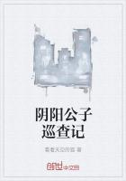 阴阳公子巡查记