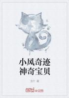 小风奇迹神奇宝贝