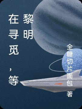 在寻觅,等黎明