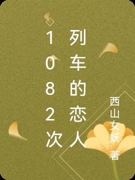 1082次列车的恋人