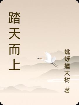 踏天而上